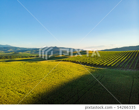 Typical landscape of the Val d'Orcia in Tuscany, Typical landscape of the Val d'Orcia in Tuscany, 54266335