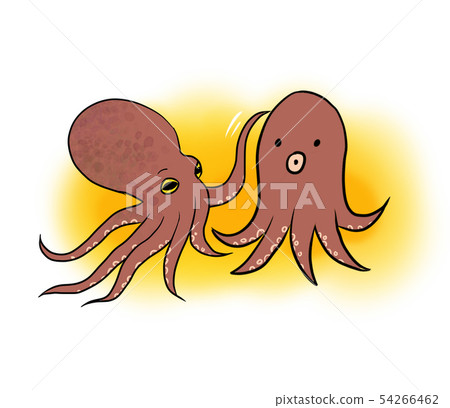 Two octopus - Stock Illustration [54266462] - PIXTA