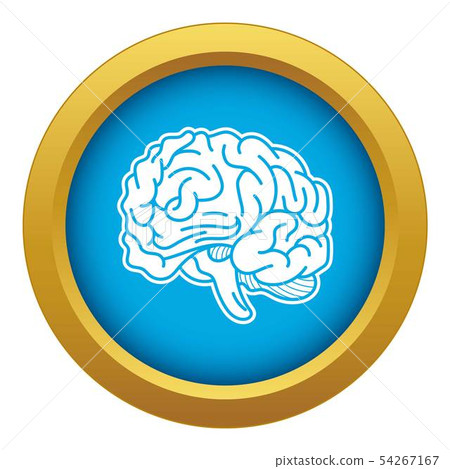 Genius brain icon blue vector isolated 54267167