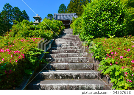 Zenji Temple Yakushido 54267658