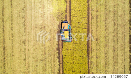 Aerial top view of Harvester machine working in Aerial top view of Harvester machine working in 54269067