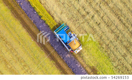 Aerial top view of Harvester machine working in 54269153