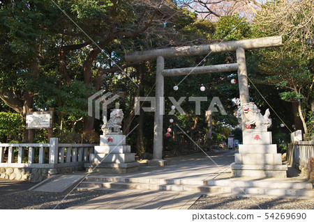 平塚前取神社鳥居和守護犬 平塚前取神社鳥居和守護犬 54269690