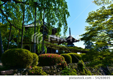 Zentsuji Temple Yuryu no Matsu Matsuda的No.1松樹和牛脂塔 Zentsuji Temple Yuryu no Matsu Matsuda的No.1松樹和牛脂塔 54269695