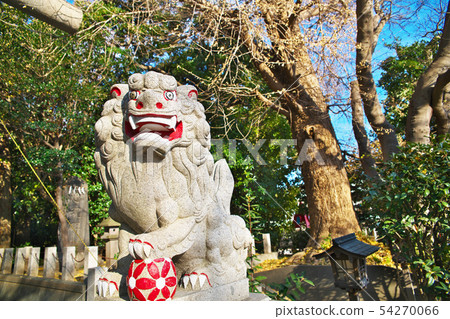 平塚Maetori Shrine Shiba Inu 54270066