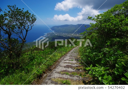 八丈富士遠足徑 54270402