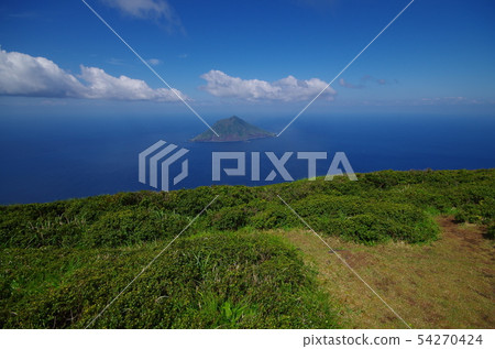 查看Hachijo Kojima 54270424