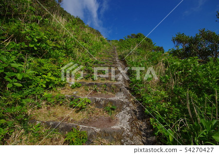 Stairway of Hachijo Fuji mountain trail 54270427