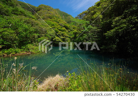 Sulfur swamp in Hachijojima 54270430