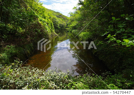 Hachijojima的Oike 54270447