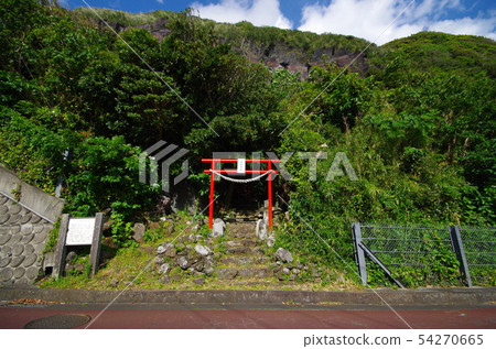 山地森林和神社 54270665