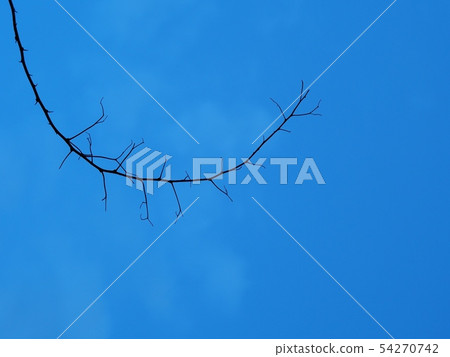 silhouette of a dead dark long branch on blue sky 54270742