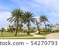 Palm tree 5 54270793