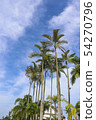 photo) Palm Trees 8 54270796