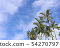 photo) Palm Trees 9 54270797