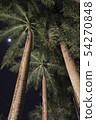 photo) Palm Trees 14 54270848