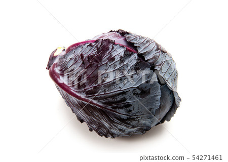 紅甘藍 紅甘藍 54271461