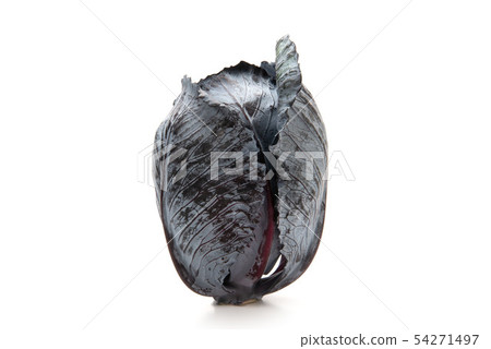 Red cabbage 54271497
