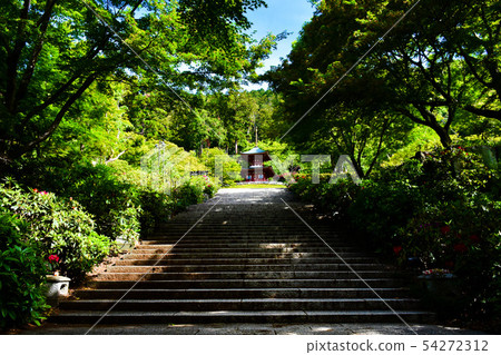 Katsuo-dera Taho Pagoda approach 54272312