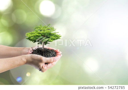Sustainable environment, saving environmental eco Sustainable environment, saving environmental eco 54272785