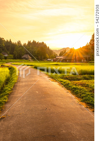 Summer rural landscape (at dusk of Ashinoshima ring village) Summer rural landscape (at dusk of Ashinoshima ring village) 54272938