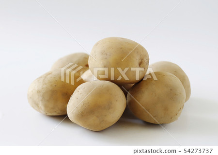 土豆土豆 54273737