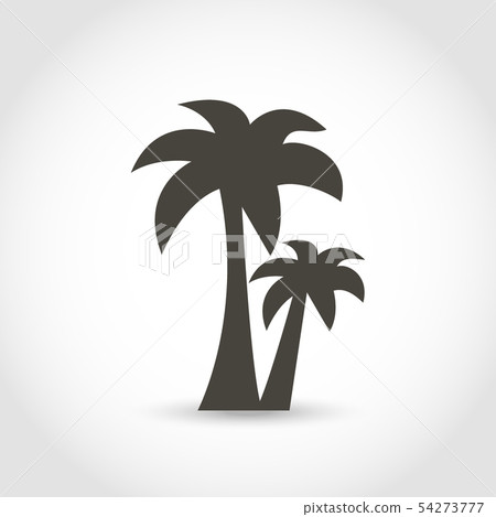 Vector palm tree black silhouette isolated on a white background 54273777
