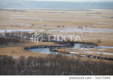 釧路濕地“冬天” 54273800