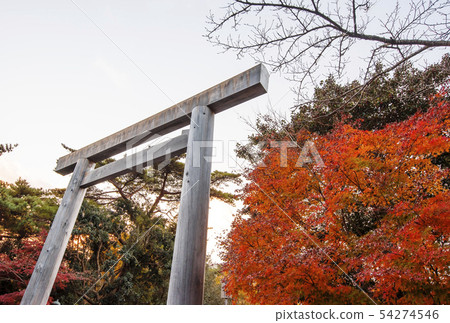 Ise Jingu Shrine in autumn Scenery of the Inner Shrine with autumn colors Uji Bridge torii and maple Ise-Shima sightseeing Ise Jingu Shrine in autumn Scenery of the Inner Shrine with autumn colors Uji Bridge torii and maple Ise-Shima sightseeing 54274546