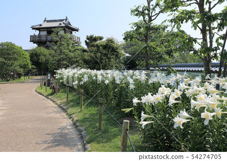 Ikeda Castle Ruins Park Tepouliuri 54274705