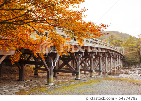Ise Grand Shrine in autumn, Ujibashi Bridge and maple leaves, Naiku autumn leaves, Ise-Shima tourist attractions 54274782