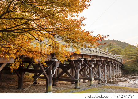 Ise Grand Shrine in autumn, Ujibashi Tomomiji scenery, Naiku autumn leaves scenery, Ise-Shima tourist attractions Ise Grand Shrine in autumn, Ujibashi Tomomiji scenery, Naiku autumn leaves scenery, Ise-Shima tourist attractions 54274784