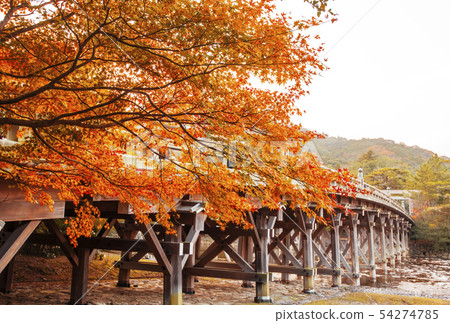 Ise Jingu in autumn Uji Bridge and maple leaves Scenery of autumn leaves in Naiku Ise-Shima sightseeing Ise Jingu in autumn Uji Bridge and maple leaves Scenery of autumn leaves in Naiku Ise-Shima sightseeing 54274785