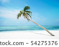 The beach at sunsrise on tropical island with palm trees. 54275376