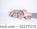 Striped donuts on a white background. 54275378