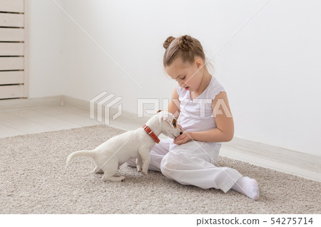 Children, pets and animals concept - little child girl in pajamas playing with Jack Russell Terrier 54275714