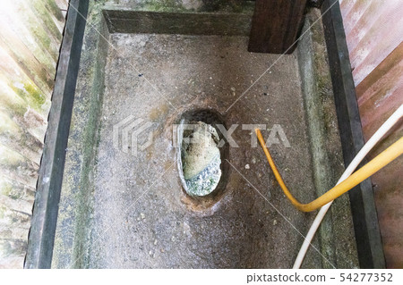 Closeup traditional toilet hole on ground. Faeces 54277352