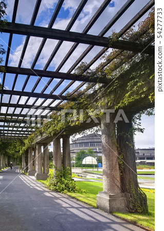 The Centennial Hall - UNESCO heritage 54277733