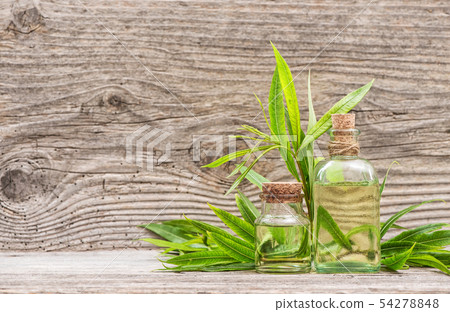 Eucalyptus herbal massage oil in bottle wooden Eucalyptus herbal massage oil in bottle wooden 54278848