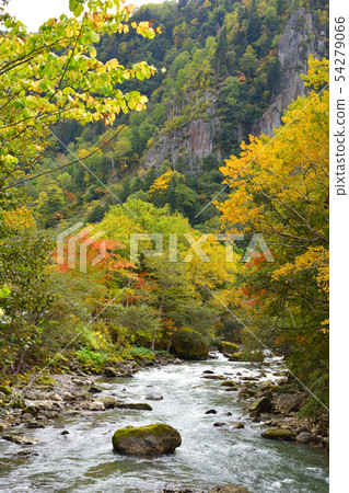 Autumn Ishikari River Autumn Ishikari River 54279066