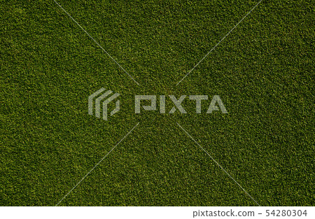 background of green grass 54280304