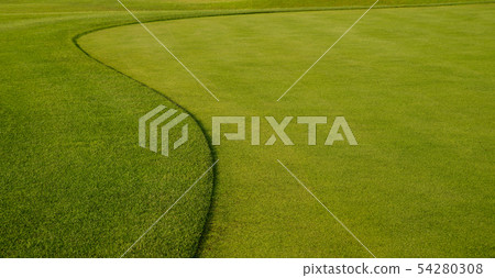 background of green grass background of green grass 54280308