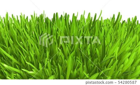 Green grass. background texture. fresh spring green grass. 3d rendering. Green grass. background texture. fresh spring green grass. 3d rendering. 54280587