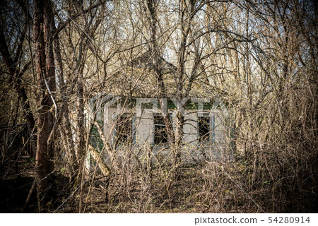 abandoned house in destroyed village of Kopachi Chernobyl zone, Ukraine abandoned house in destroyed village of Kopachi Chernobyl zone, Ukraine 54280914