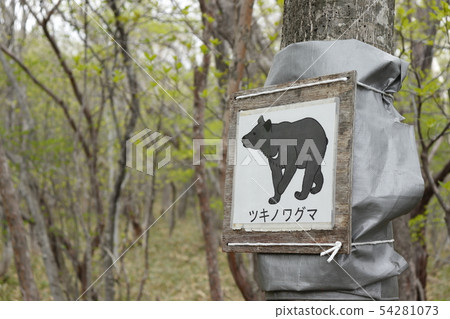 Information Board of Black Bear Caution Information Board of Black Bear Caution 54281073