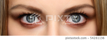 Letterbox view of pretty amazing female eyes Letterbox view of pretty amazing female eyes 54281136