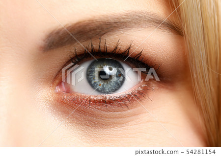 Close-up view of pretty amazing female left eye Close-up view of pretty amazing female left eye 54281154