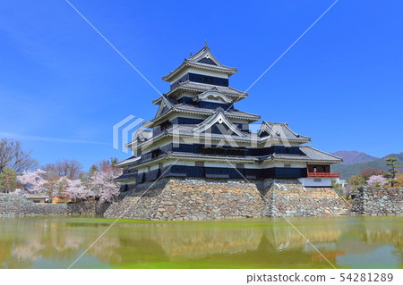 [長野縣]櫻花盛開的松本城 54281289