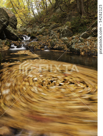 Fallen leaves are flowing in the mountain stream of autumn colors. I'm making a spiral. Hiroshima Prefecture Fallen leaves are flowing in the mountain stream of autumn colors. I'm making a spiral. Hiroshima Prefecture 54282125