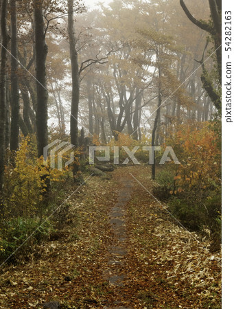 There is fog on the summit route of Mt. Hiba. 54282163